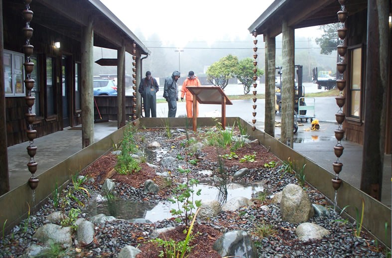New rain garden in operation