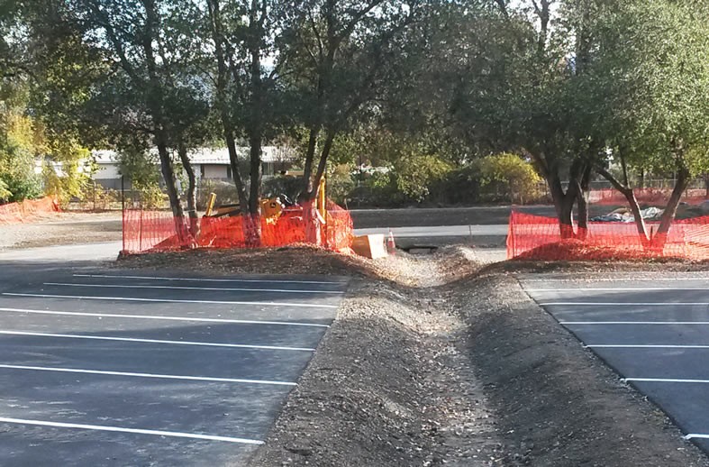 Parking lot stormwater drains to bioswale and future stormwater garden.