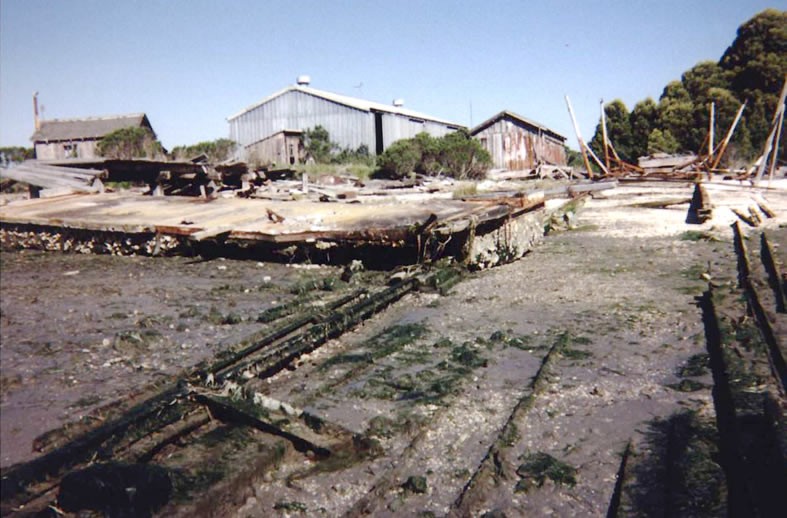 Indian Island boatyard in 1998