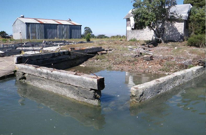 Old bulkhead