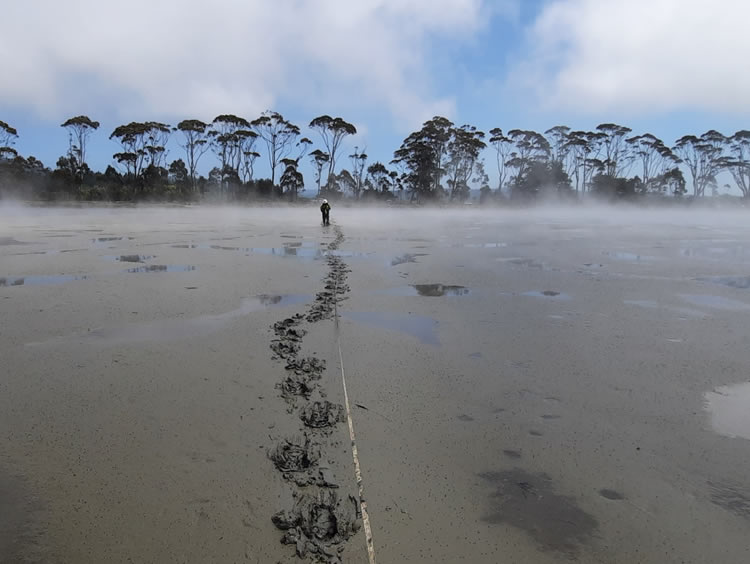 Early morning measurements during low tide at Humboldt Bay.