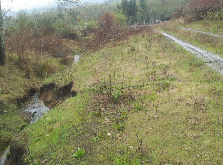 A section of the tank site’s access road.