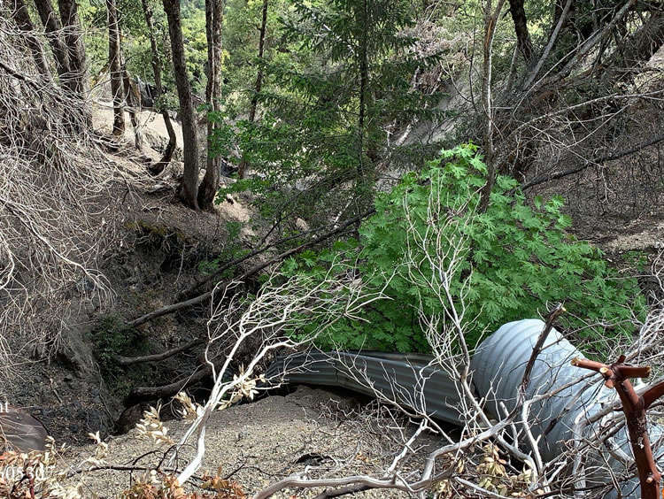Mendocino Pass Road. SHN performed field investigations for the replacement of two culverts.